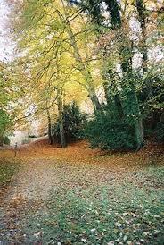 Bisham Woods