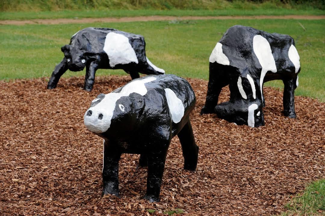Concrete Cows